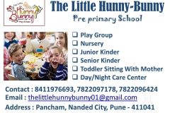 the-little-hunny-bunny-nanded-city-pune-playgroups